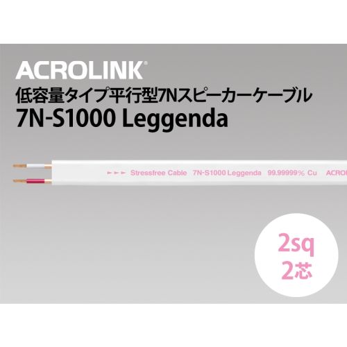 ACROLINK 7N-S1000 Leggenda image 1