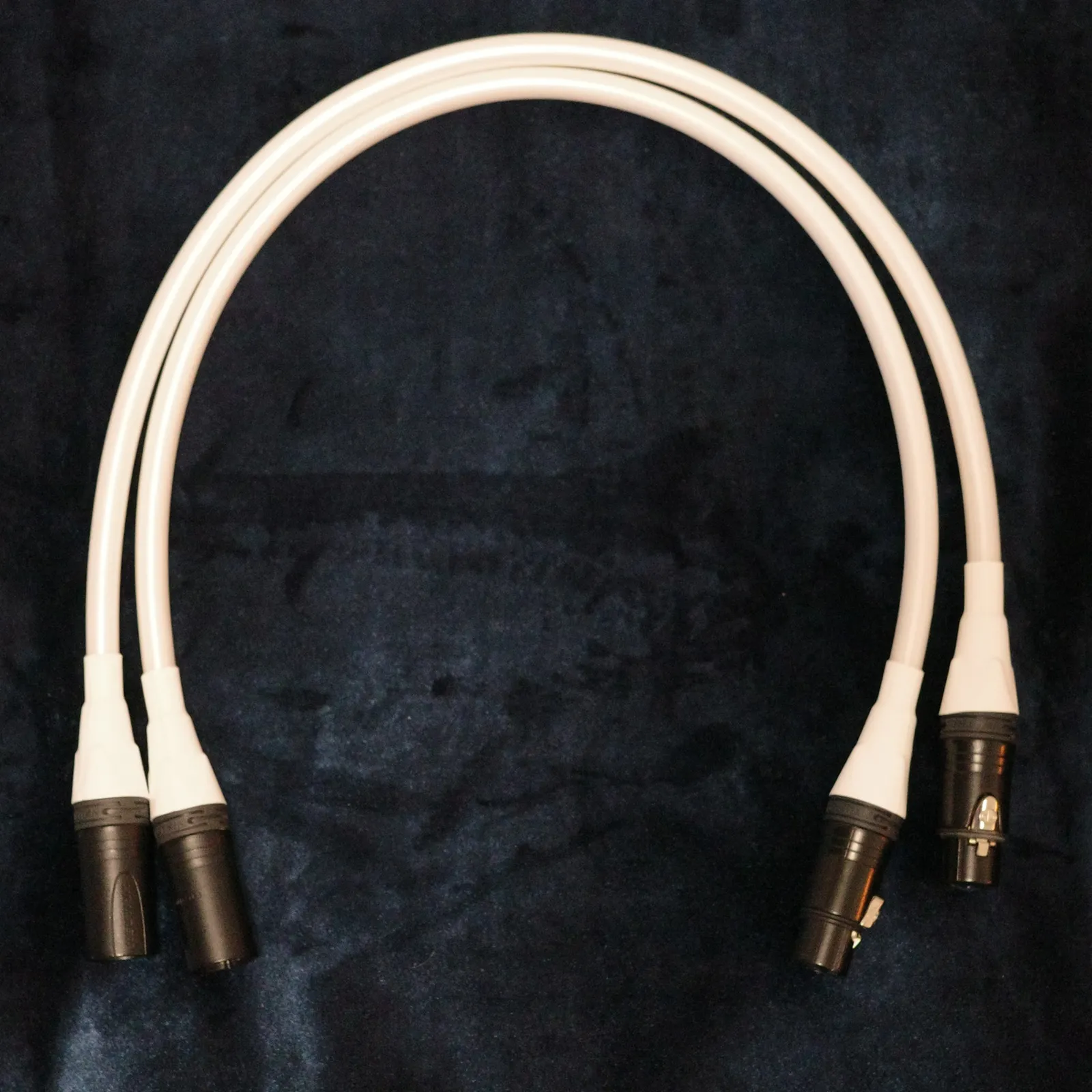 0.6M Oyaide Terzo V2 XLR image 1