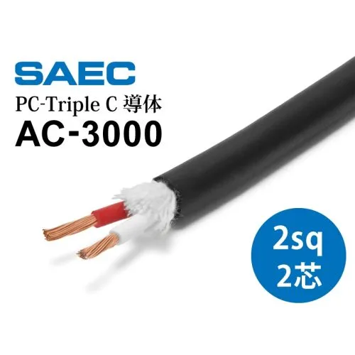 SAEC AC-3000