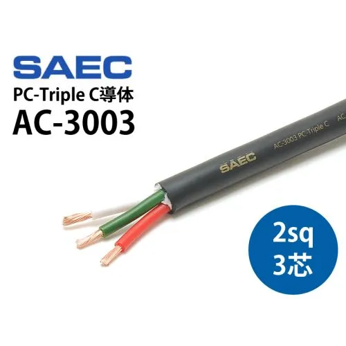 SAEC AC-3003