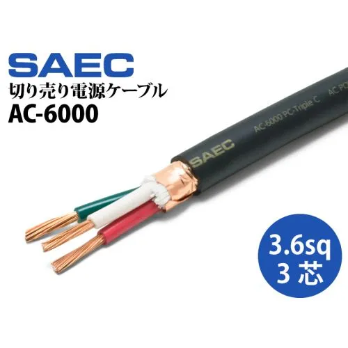 SAEC AC-6000
