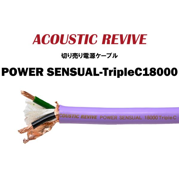 Acoustic Revive POWER SENSUAL-TripleC18000 image 2